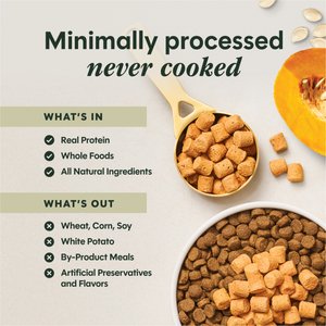 Instinct RawBoost Mixers Gut Health Recipe Grain-Free Freeze-Dried Dog Food Topper, 5.5-oz bag