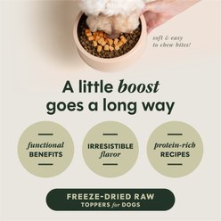 Instinct RawBoost Mixers Gut Health Recipe Grain-Free Freeze-Dried Dog Food Topper, 5.5-oz bag slide 2 of 9