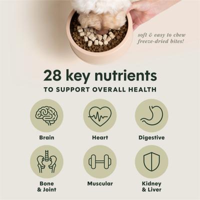 Show full view: Instinct RawBoost Mixers Multivitamin Recipe Grain-Free Freeze-Dried Dog Food Topper, 5.5-oz bag slide 5 of 11
