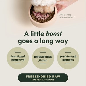 Instinct RawBoost Mixers Skin & Coat Health Recipe Grain-Free Freeze-Dried Dog Food Topper, 5.5-oz bag