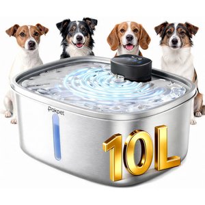 ALWAYS FULL Automatic Dog & Cat Water Bowl & Bottle Pump Self Cleaning & Refilling  Dispenser, Matte Gray, 7-in - Chewy.com