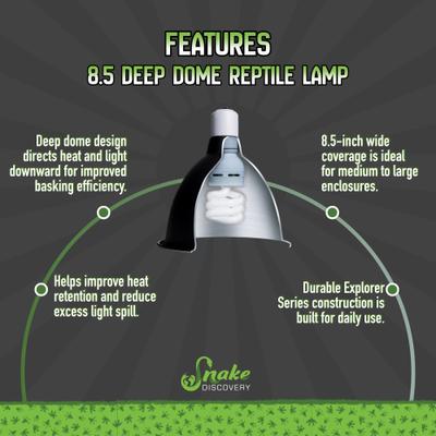 Show full view: Snake Discovery Deep Dome Reptile Lamp, Black, 8.5-in slide 6 of 9