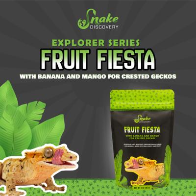 Show full view: Snake Discovery Fruit Fiesta Crested Gecko Food, 3-oz slide 3 of 7