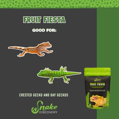 Show full view: Snake Discovery Fruit Fiesta Crested Gecko Food, 3-oz slide 5 of 7