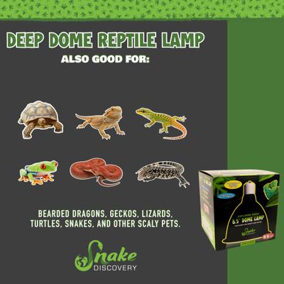 Show full view: Snake Discovery Deep Dome Reptile Lamp, Black, 8.5-in slide 8 of 9