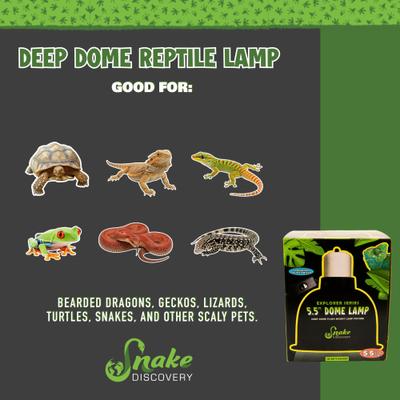 Show full view: Snake Discovery Deep Dome Reptile Lamp, Black, 5.5-in slide 8 of 9