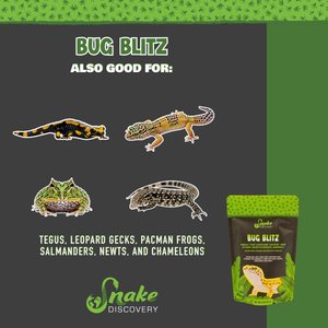 Snake Discovery Bug Blitz Leopard Gecko Food, 3-oz