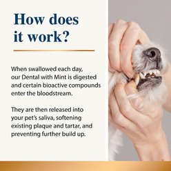 Karnlea Mint Flavored Powder Dog Dental Breath Freshener, 7-oz tub slide 2 of 7