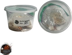 ABDragons Live Butterworms Reptile Bearded Dragon Food, 25 count slide 2 of 3