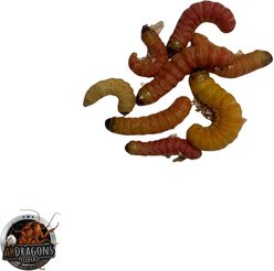 ABDragons Live Butterworms Reptile Bearded Dragon Food, 25 count