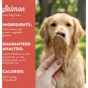 Butcher's Naturals Slow Roasted Salmon Jerky Dog Treats, 16-oz bag