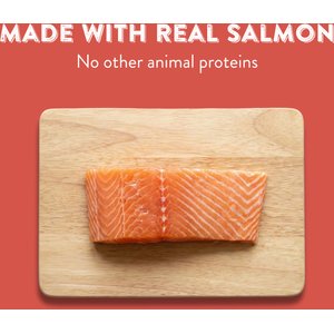 Butcher's Naturals Slow Roasted Salmon Jerky Dog Treats, 16-oz bag