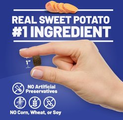 Dave's Pet Food Sensitive Stomach Sweet Potato & Pumpkin Grain-Free Soft & Chewy Dog Treats, 5-oz bag slide 2 of 9