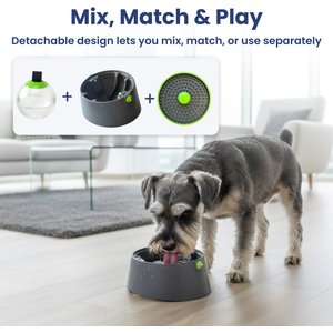 PawsPik 3-in-1 Multi-Purpose Treat, Feed & Lick Station Dog Feeder, Black, Small