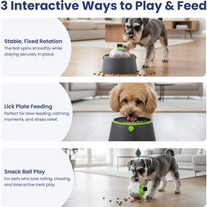 PawsPik 3-in-1 Multi-Purpose Treat, Feed & Lick Station Dog Feeder, Black, Small