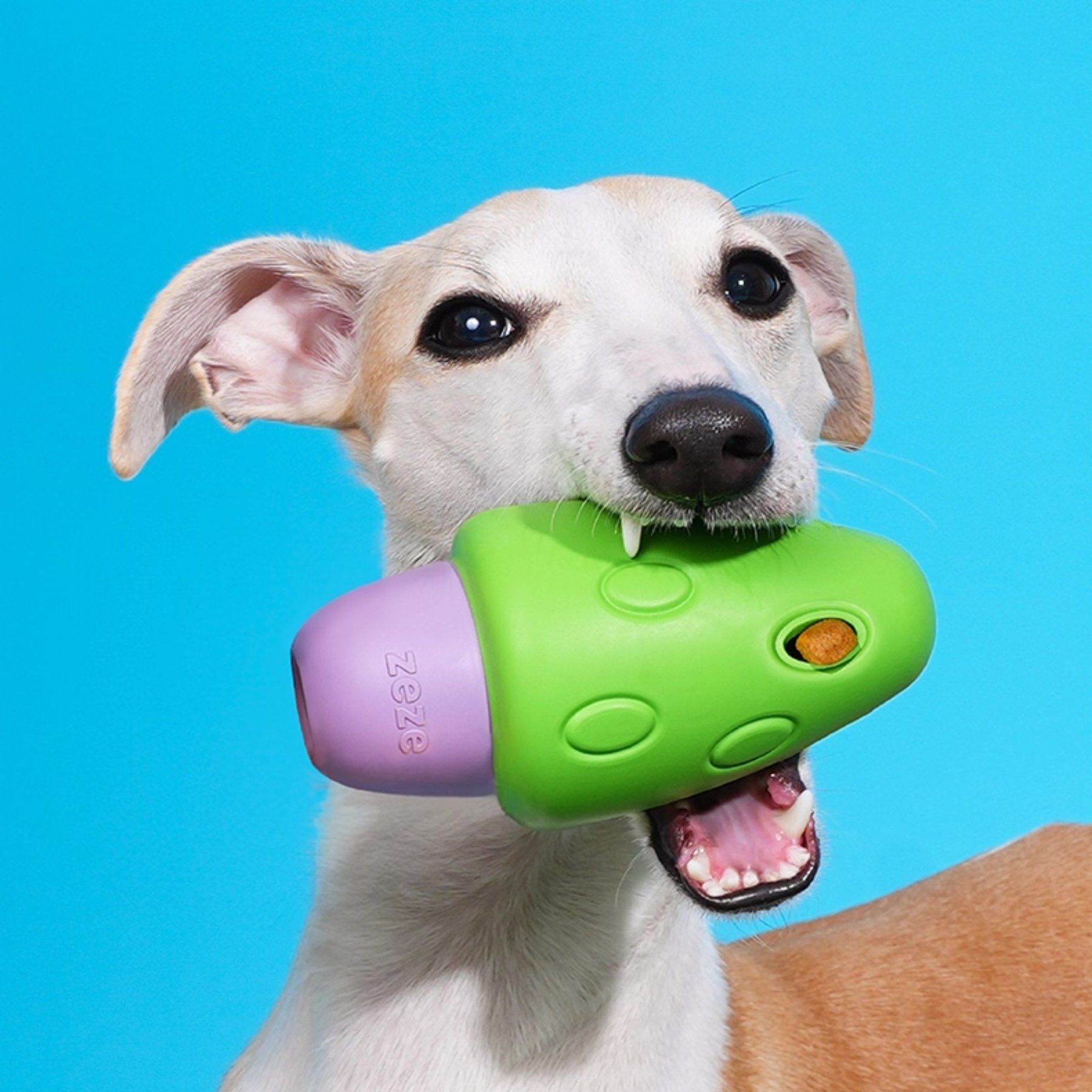 ZEZE Mushroom Natural Rubber Slow Feeder Treat Dispensing Puzzle Dog Toy, Green, Medium, 1 count
