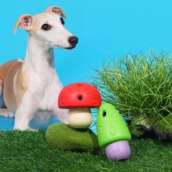 ZEZE Mushroom Natural Rubber Slow Feeder Treat Dispensing Puzzle Dog Toy, Multicolor, Large, 2 count