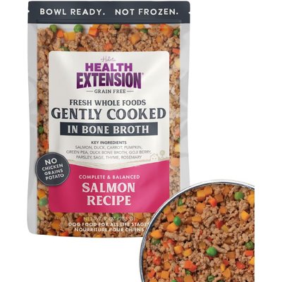 Health Extension Health Extension Gently Cooked Grain-Free Salmon Recipe Wet Dog Food, 9-oz pouch, 5 count