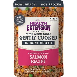 Health Extension Gently Cooked Grain-Free Salmon Recipe Wet Dog Food, 3-oz pouch, 10 count