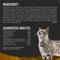 Show in main carousel: Purina Pro Plan Veterinary Diets NF Kidney Function Early Care Dry Cat Food, 8-lb bag slide 8 of 10