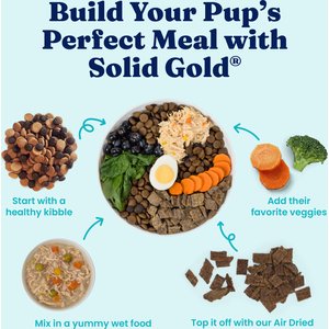 Solid Gold Digestive Support Chicken, Beef & Pumpkin Wet Dog Food, 3.5-oz cup, case of 6