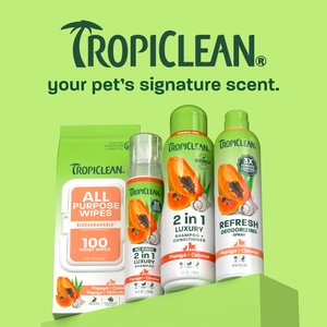 TropiClean Dry No Rinse Waterless Papaya & Coconut Dog & Cat Shampoo, 7.4-fl oz