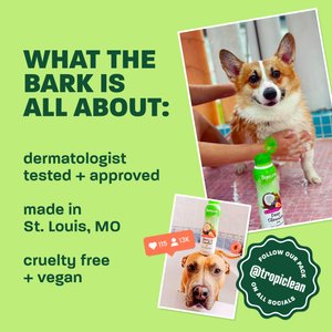 TropiClean Dry No Rinse Waterless Papaya & Coconut Dog & Cat Shampoo, 7.4-fl oz