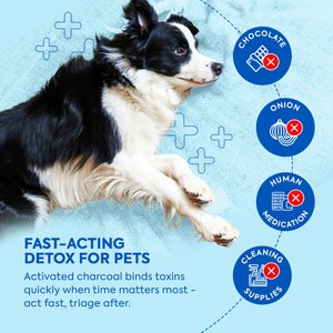 ReadyRESCUE Detoxifier & Poison First Aid Kit for Dogs & Cats, 30-gram