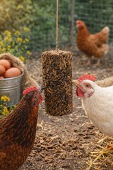Little Farmer Products Peck Away Grub Hanging Chicken Treat, 9.87-oz bag slide 2 of 6