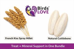 Birds LOVE Premium Millet Seeds Bird Food with 4-in Cuttlebone, 2-lb box, 2 count slide 2 of 8