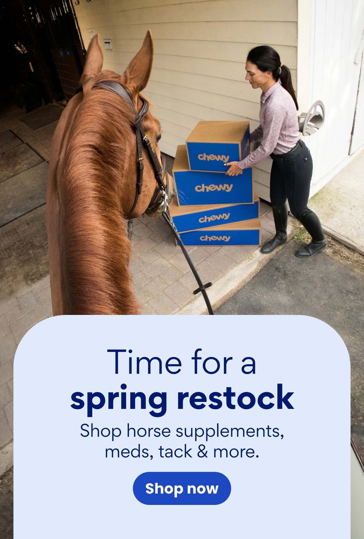 Time for a spring restock. Shop horse supplements, meds, tack, and more.