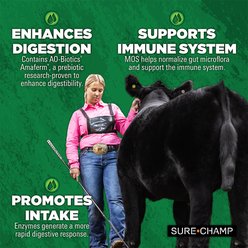 Sure Champ Cattle Drench Farm Animal Supplement, 32-fl oz bottle slide 2 of 6