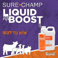 Sure Champ Liquid Boost Farm Animal Supplement, 32-fl oz bottle slide 2 of 6
