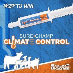 Sure Champ Climate Control Gel Farm Animal Supplement, 60-mL tube slide 2 of 6