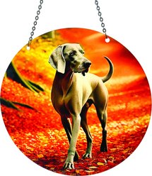 d'ears Weimaraner in Leaves Suncatcher