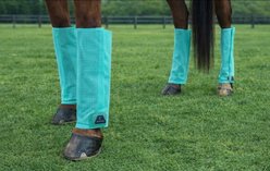 Shires Equestrian Products ARMA Mesh Horse Fly Boots, Turquoise, Medium slide 2 of 2