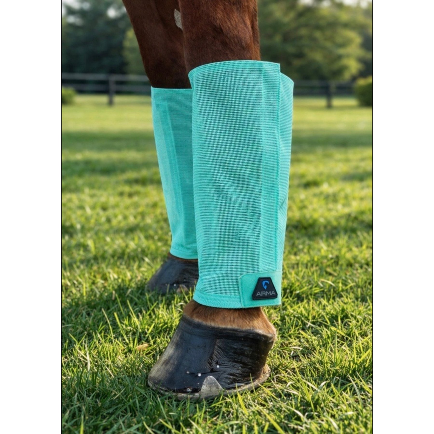 Shires Equestrian Products ARMA Mesh Horse Fly Boots, Turquoise, Large