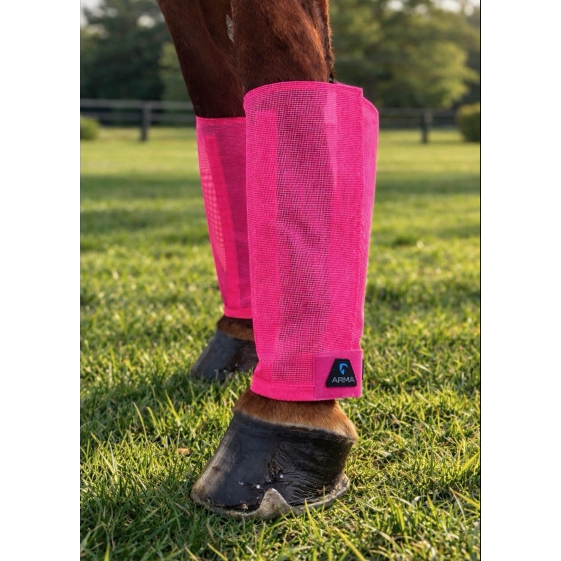 Shires Equestrian Products ARMA Mesh Horse Fly Boots, Pink, Medium