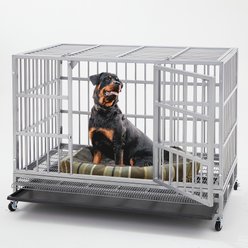 Fuzzy Bird Heavy-Duty Dog Crate with Tray, Wheels & Lock, Silver, Large: 48-in