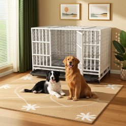 Fuzzy Bird Heavy-Duty Escape-Proof Dog Crate with Tray, Wheels & Lock, white, Large: 48-in