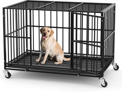 Fuzzy Bird Indoor Escape-Proof Double-Door Steel Pet Cage with Removable Tray & Wheels, Black, 42-in