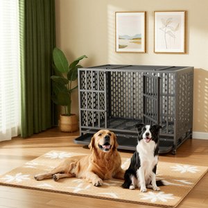 XBRIGH Heavy Duty Indestructible Escape Proof Steel Dog Crate