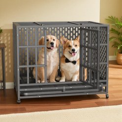 Fuzzy Bird Heavy-Duty Escape-Proof Dog Crate with Tray, Wheels & Lock, Black, Small: 38-in