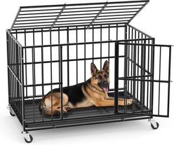 Fuzzy Bird Indoor Escape-Proof Double-Door Steel Pet Cage with Removable Tray & Wheels, Black, 48-in