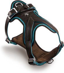 myfamily Hermitage Leather Dog Harness, Brown/Torquoise, X-Small: 13 to 17-in chest