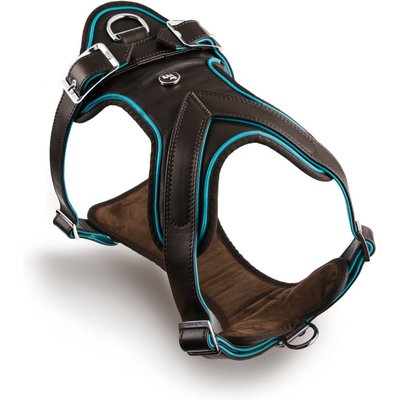myfamily myfamily Hermitage Leather Dog Harness, Brown/Torquoise, X-Large: 32 to 44-in chest