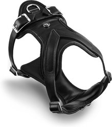 myfamily Hermitage Leather Dog Harness, Black, Small: 17 to 23-in chest