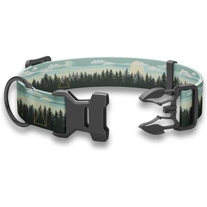 COUNTRY BROOK PETZ HossFit Jr Wide Training Martingale Dog Collar