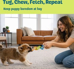 Pupstages Bone Tug Tough Dog Chew Toy slide 2 of 7