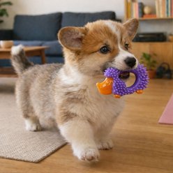 Pupstages Cutie Chewies Dog Toy slide 2 of 7